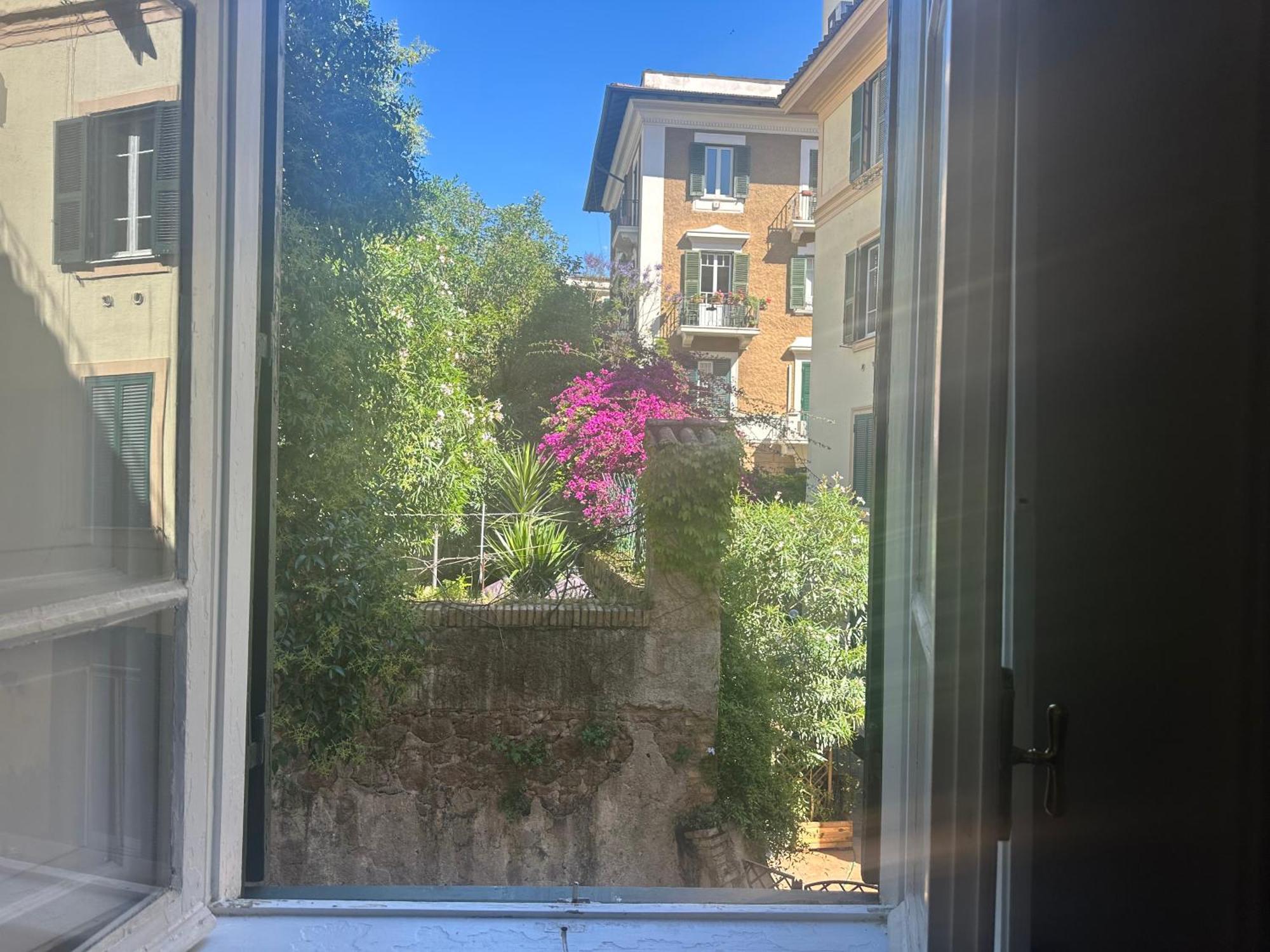 Window * Roma